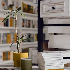 Books on a Counter